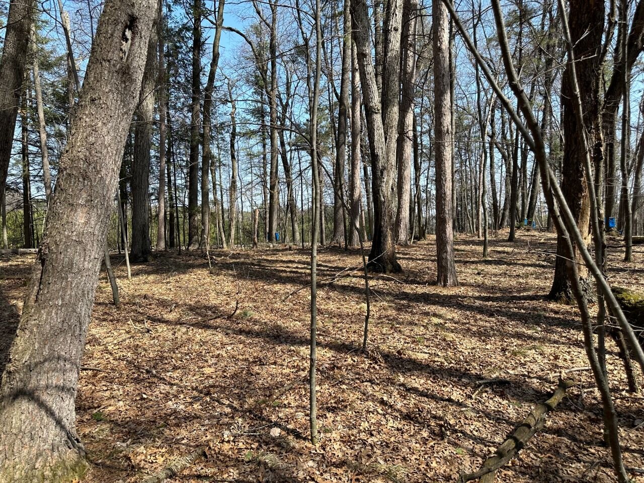 Image for Long Lake Drive Lots