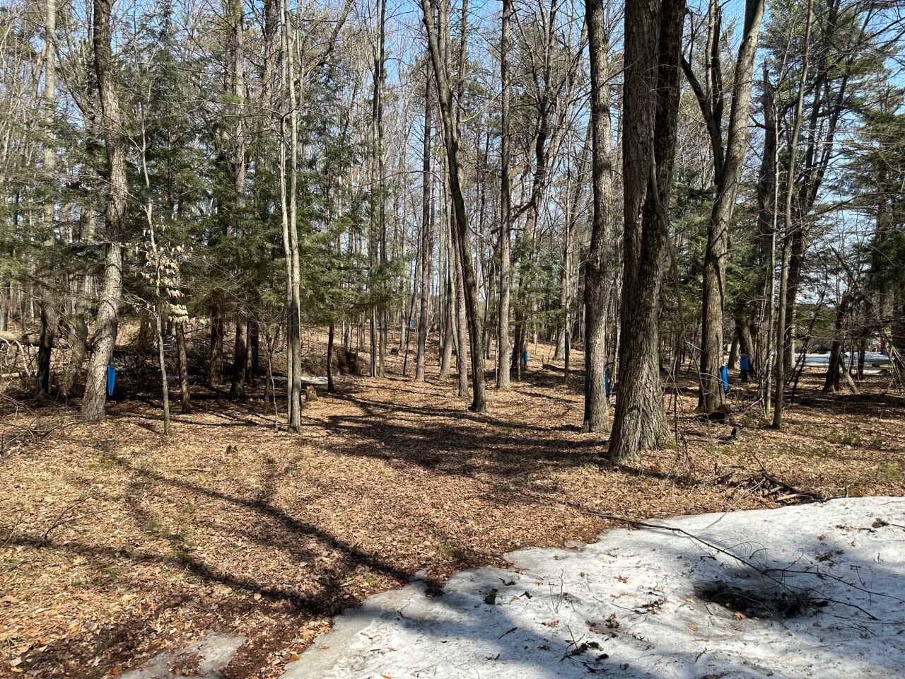 Image for Long Lake Drive Lots