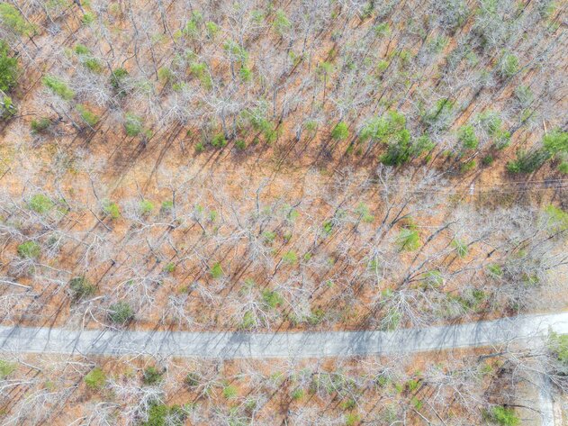 Image for 8.3 Acre Wooded Recreational Land