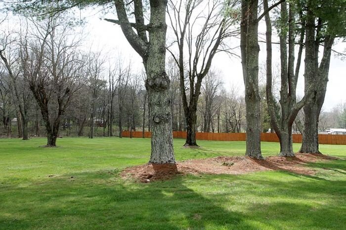 Image for SATURDAY, APRIL 29th * 10:00 AM