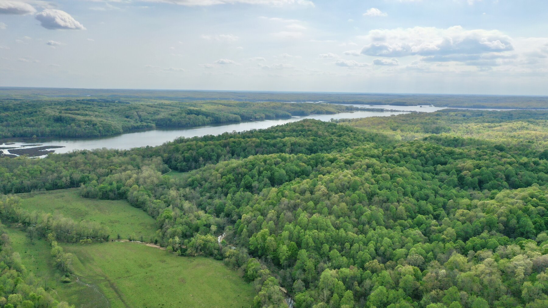 Image for 146.2+/- Acre Lake Barkley Waterfront Farm