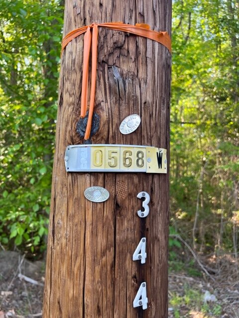 Image for US Marshals Service Online Auction