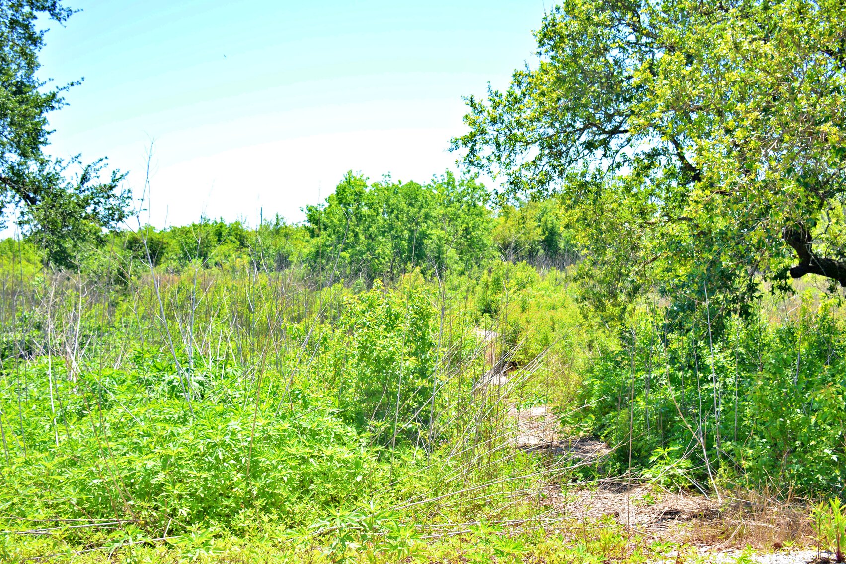 Image for AVAILABLE! Bankruptcy Auction, Case No. 18-11101, Eastern District of Louisiana, Land Auction, Empire, LA