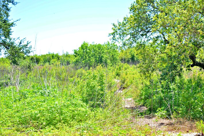 Image for AVAILABLE! Bankruptcy Auction, Case No. 18-11101, Eastern District of Louisiana, Land Auction, Empire, LA