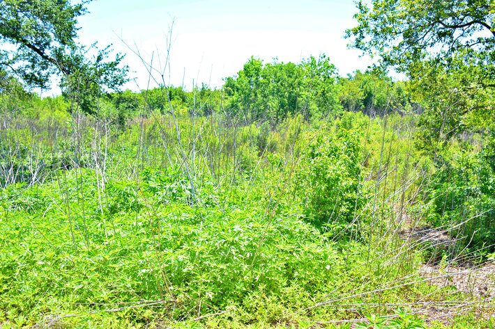 Image for AVAILABLE! Bankruptcy Auction, Case No. 18-11101, Eastern District of Louisiana, Land Auction, Empire, LA