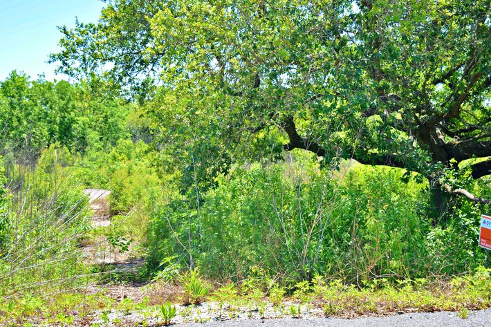 Image for AVAILABLE! Bankruptcy Auction, Case No. 18-11101, Eastern District of Louisiana, Land Auction, Empire, LA