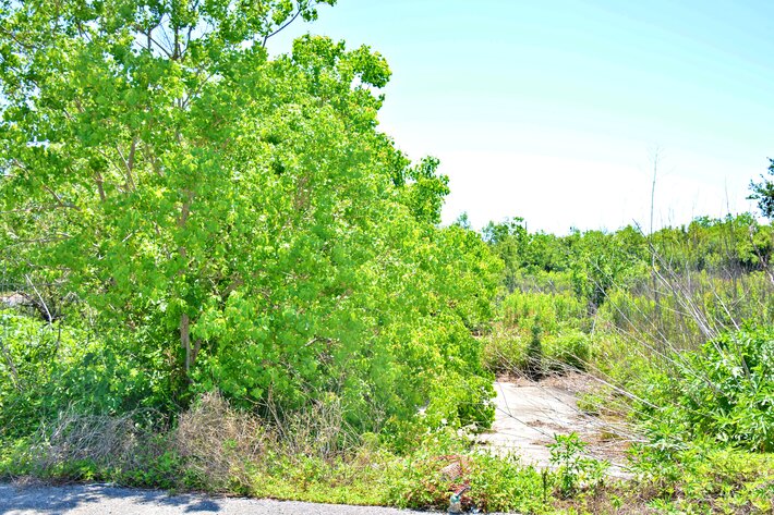 Image for AVAILABLE! Bankruptcy Auction, Case No. 18-11101, Eastern District of Louisiana, Land Auction