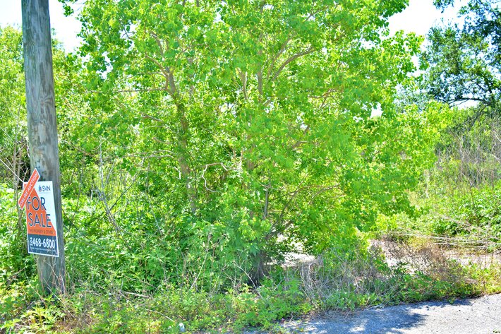 Image for AVAILABLE! Bankruptcy Auction, Case No. 18-11101, Eastern District of Louisiana, Land Auction