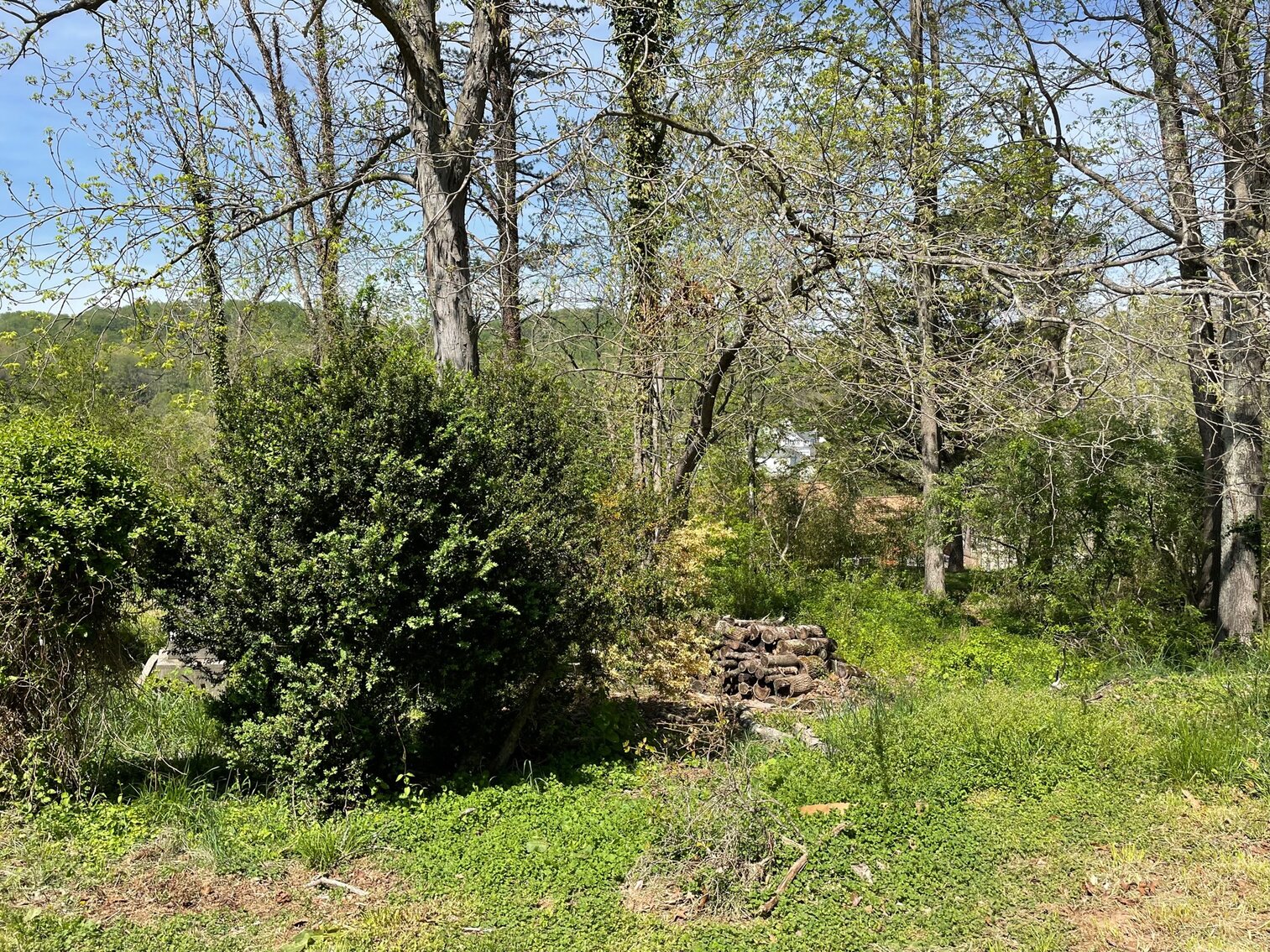 Image for SOLD $44,000 - 3 Bedroom with Garage, Barn, & Shop