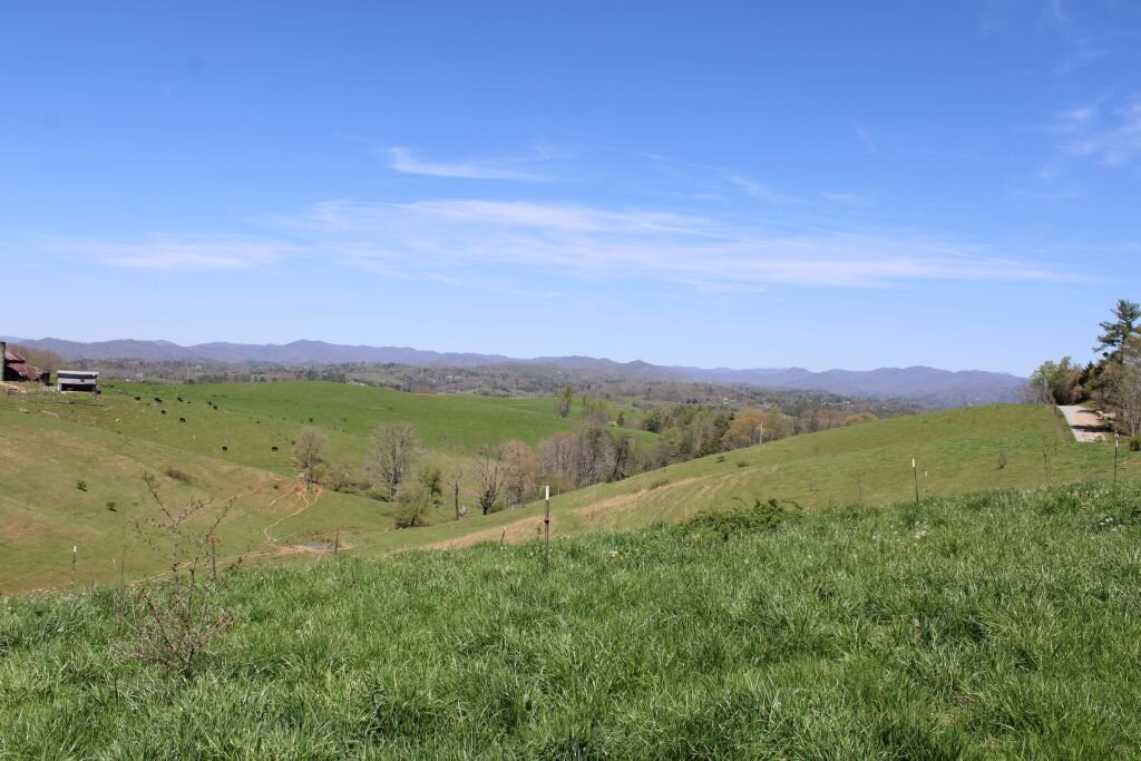 Image for Living Estate of Woodson Giles - 5 Acre Parcel