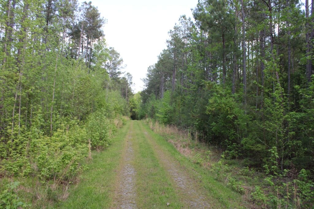 Image for Estate of the Late Susan Hunt Johnson