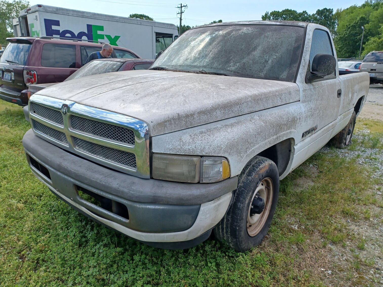 Image for May Impounds