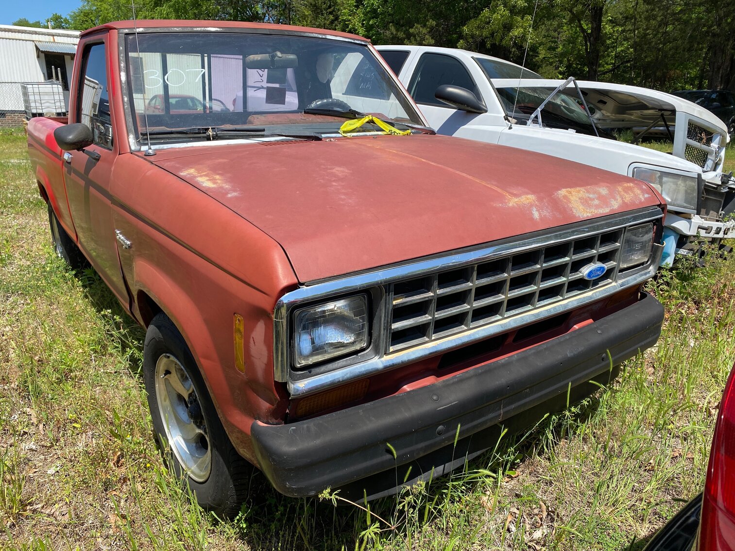 Image for May Impounds