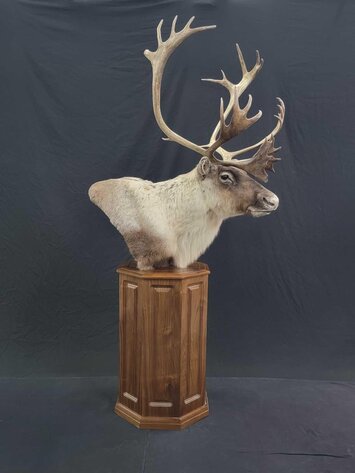 Image for May 2023 Fantastic Finds Auction