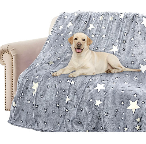 Image for Auction #61