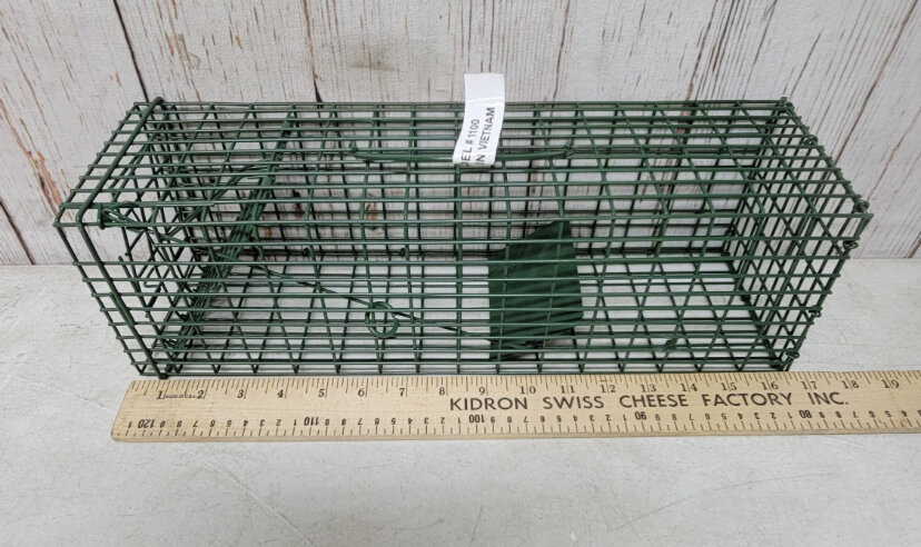 Image for May 8 Auction Goodies!