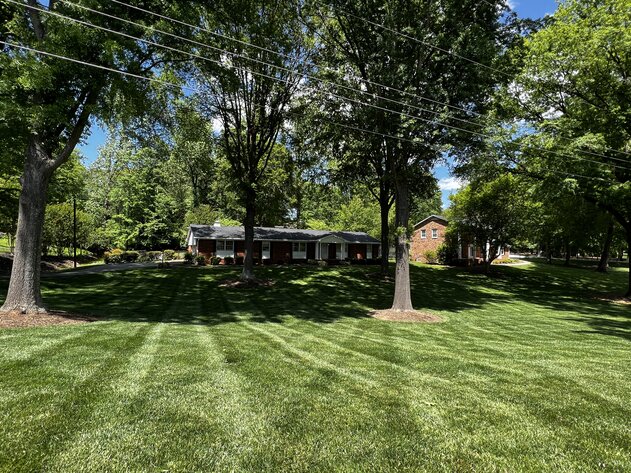 Image for Absolute Auction Meadowbrook Clemmons, NC