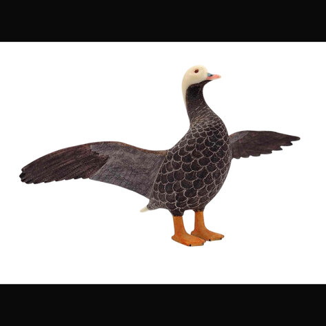 Image for May 2023 Discovery Auction