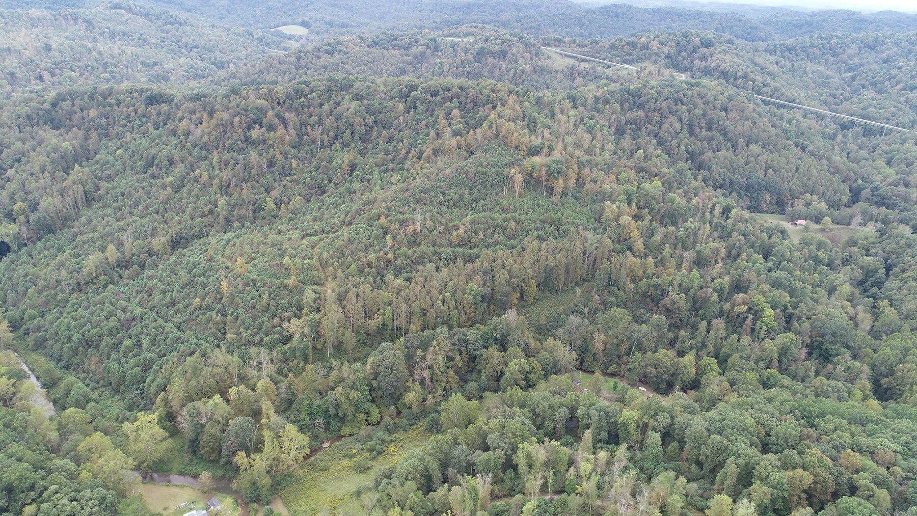 Image for SOLD $137,500 - 84 Acres Selling to the Highest Bidder