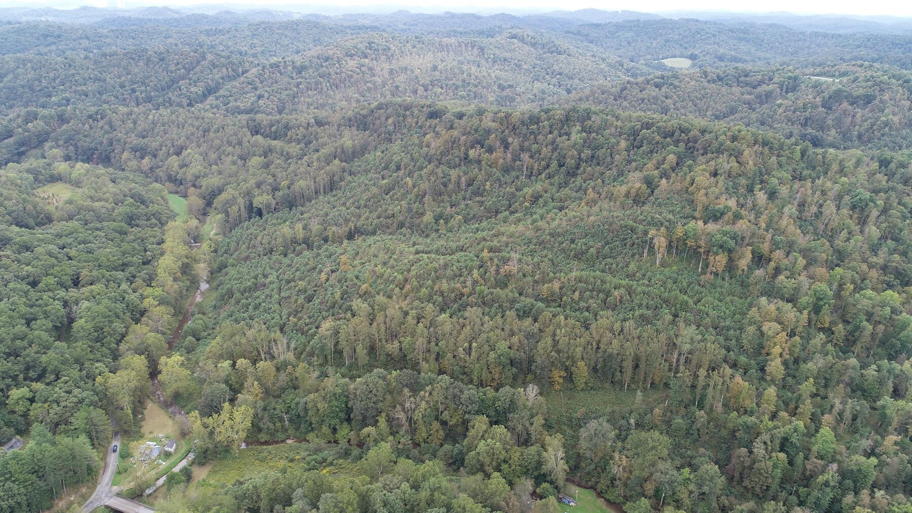 Image for SOLD $137,500 - 84 Acres Selling to the Highest Bidder