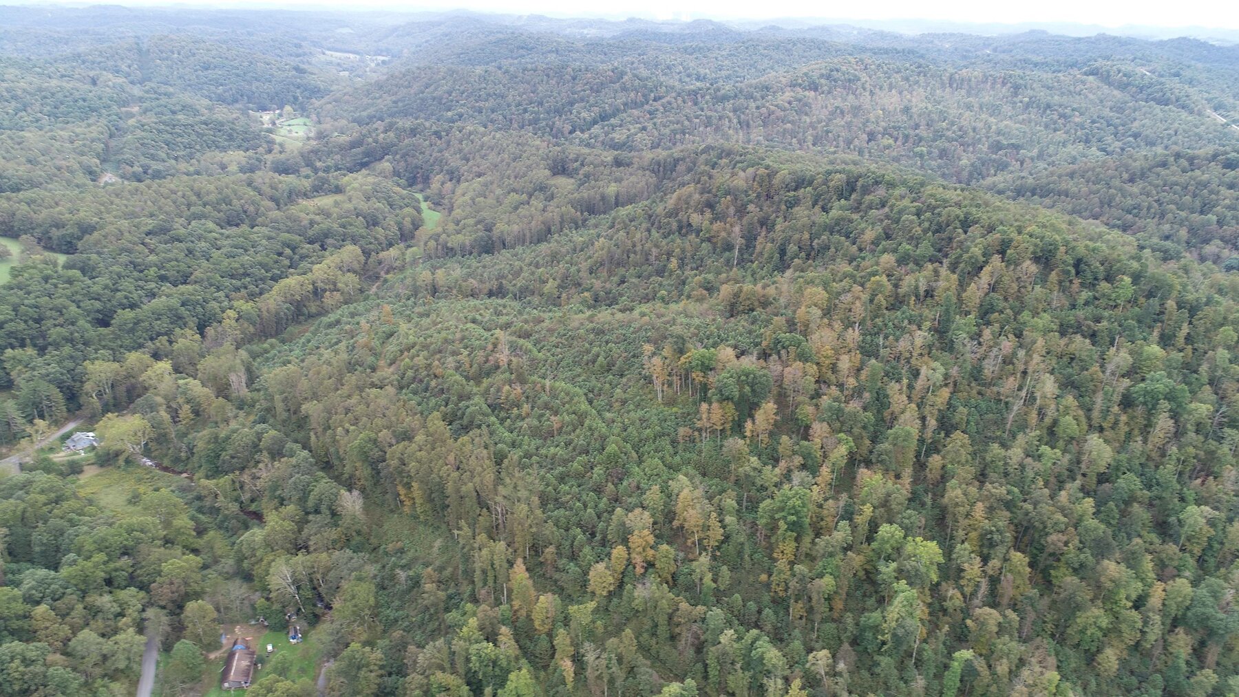 Image for SOLD $137,500 - 84 Acres Selling to the Highest Bidder