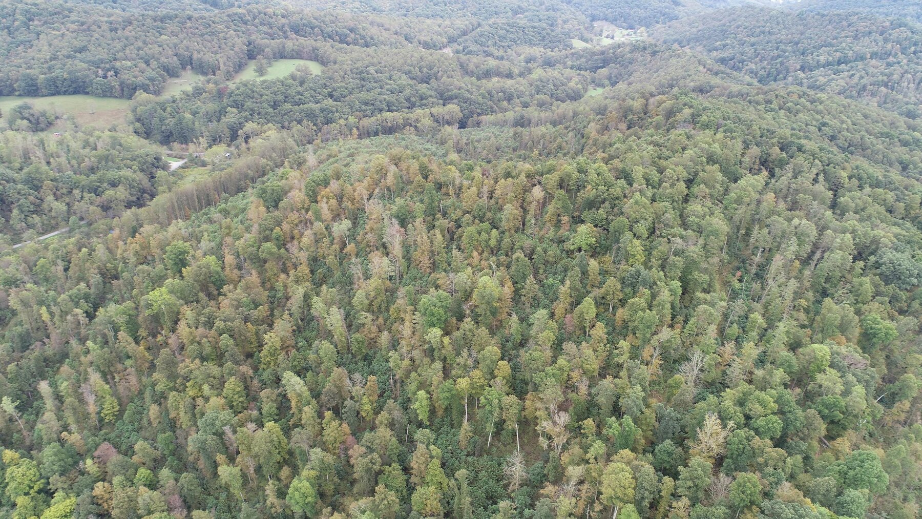 Image for SOLD $137,500 - 84 Acres Selling to the Highest Bidder