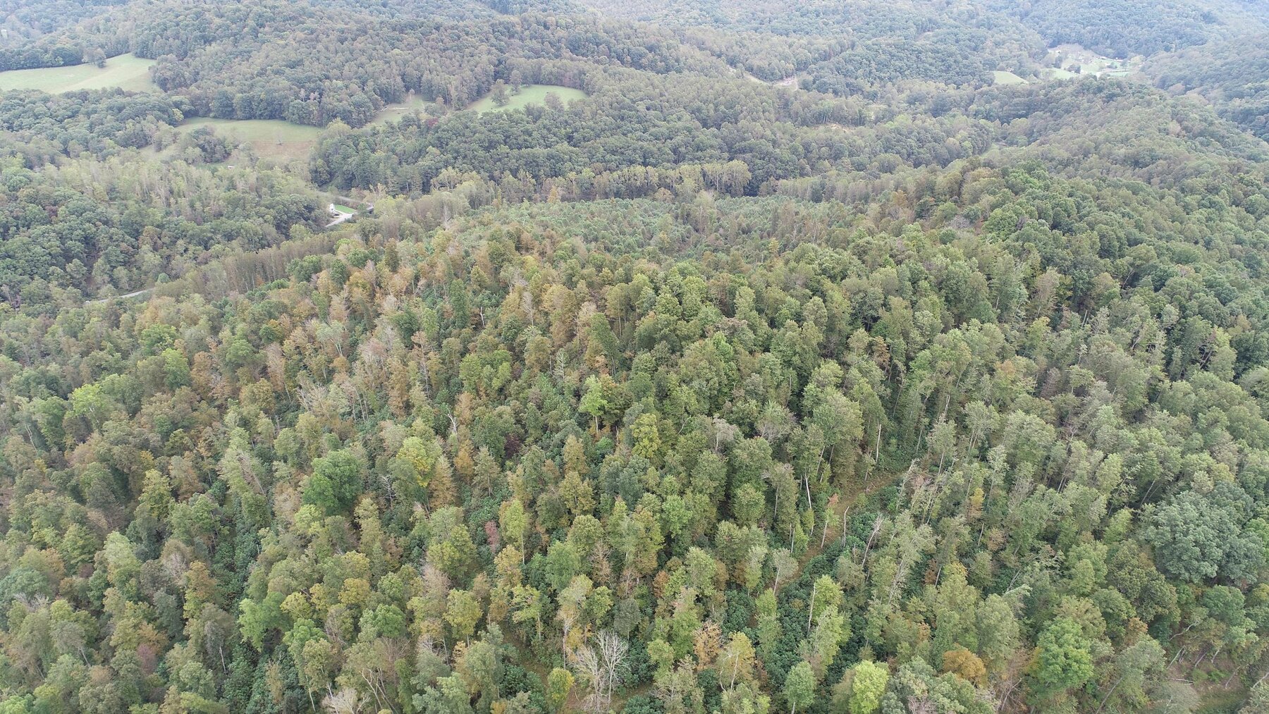 Image for SOLD $137,500 - 84 Acres Selling to the Highest Bidder