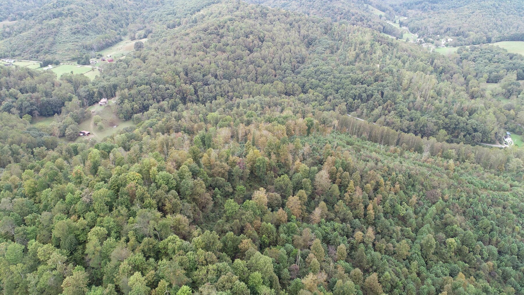 Image for SOLD $137,500 - 84 Acres Selling to the Highest Bidder