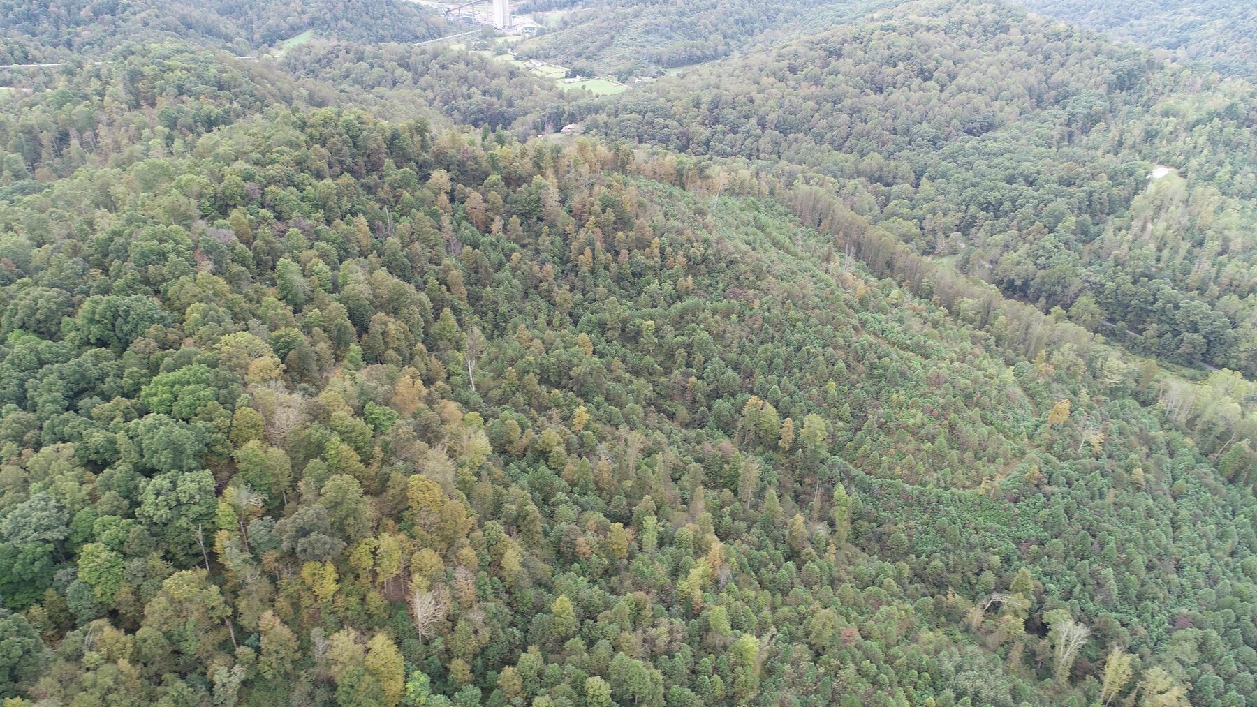 Image for SOLD $137,500 - 84 Acres Selling to the Highest Bidder