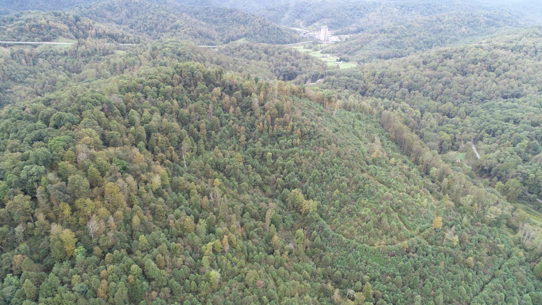 Image for SOLD $137,500 - 84 Acres Selling to the Highest Bidder