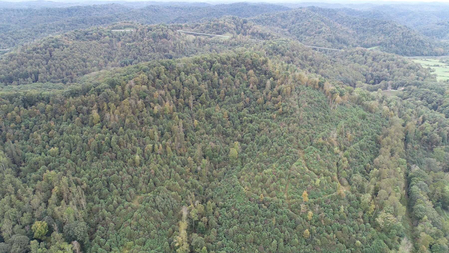 Image for SOLD $137,500 - 84 Acres Selling to the Highest Bidder