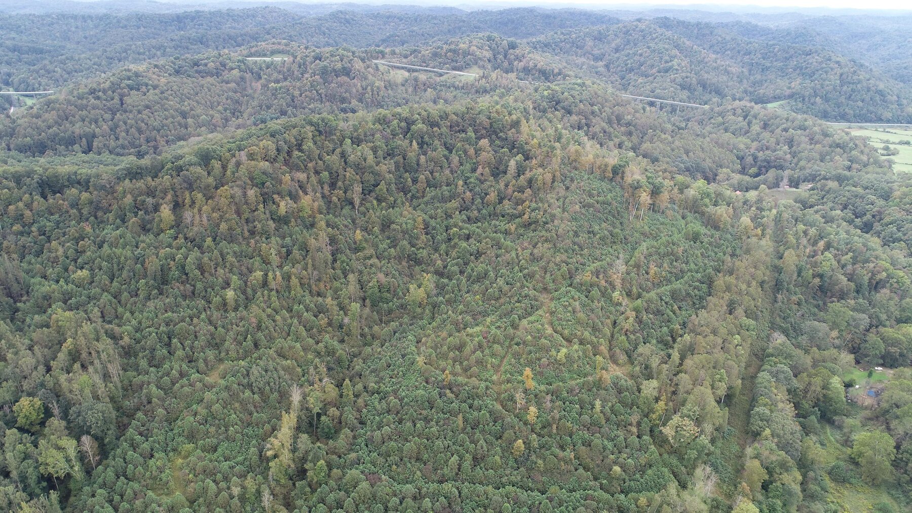 Image for SOLD $137,500 - 84 Acres Selling to the Highest Bidder