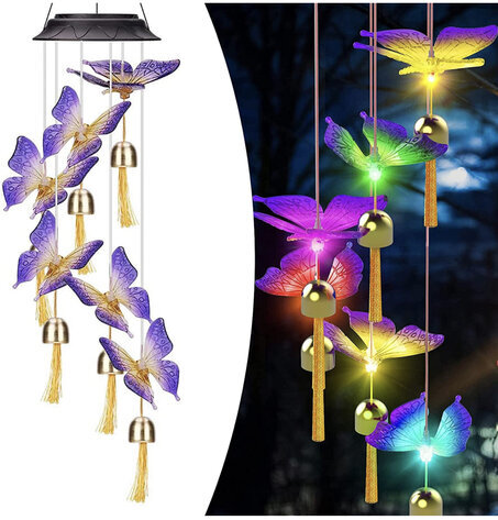 Image for Auction #62