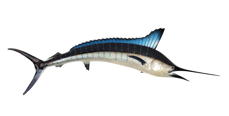 Image for May 2023 Curiosities Auction