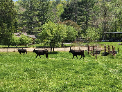 Image for 9799 Crumps Mill Road