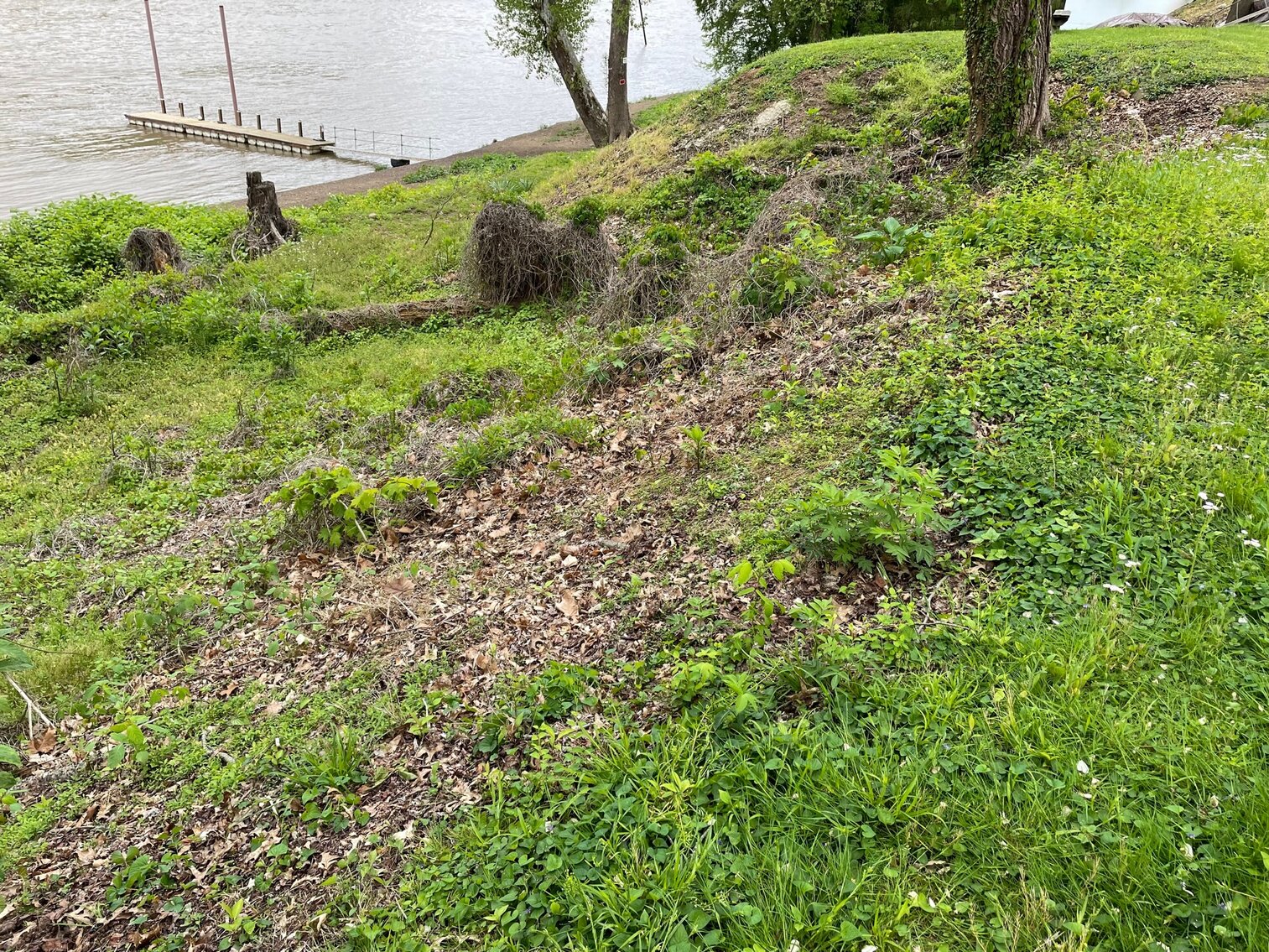 SOLD 22,000 Beautiful River Lot in Kanawha City