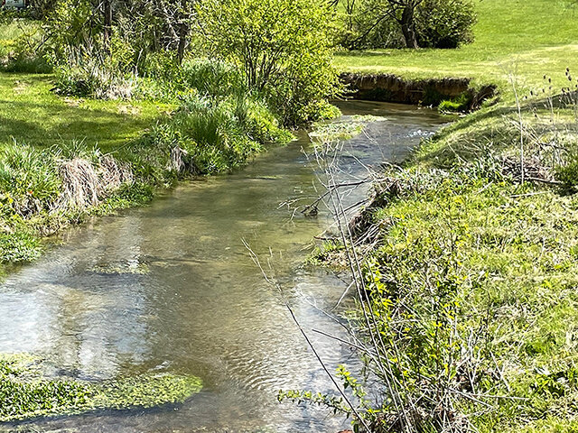 Image for SATURDAY, MAY 20th * 10:00 AM