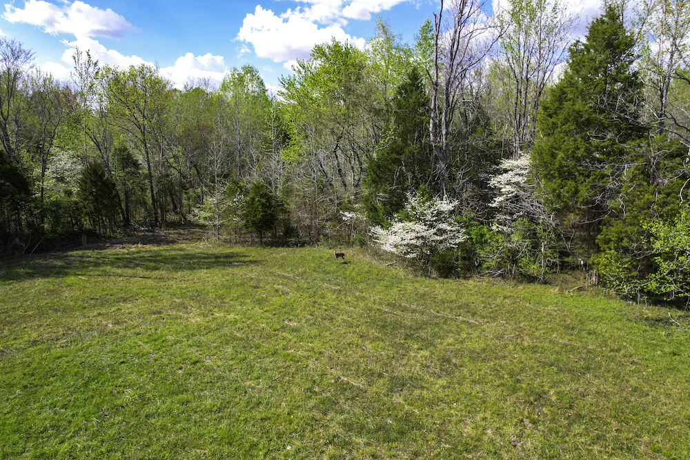 Image for 115 +/- AC・Eight Mile Lane・Greenville