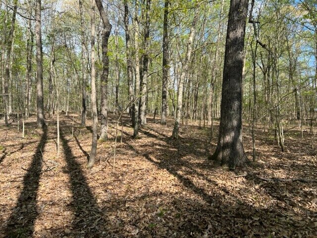 Image for 115 +/- AC・Eight Mile Lane・Greenville