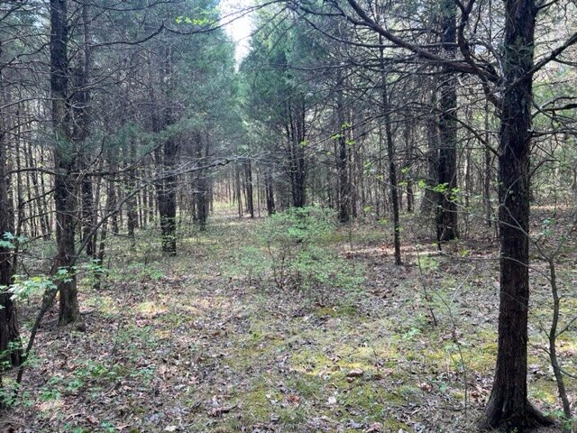 Image for 115 +/- AC・Eight Mile Lane・Greenville