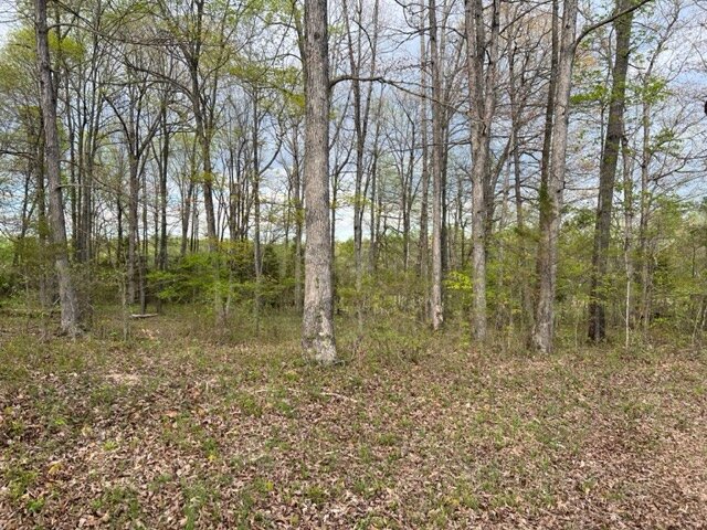 Image for 115 +/- AC・Eight Mile Lane・Greenville