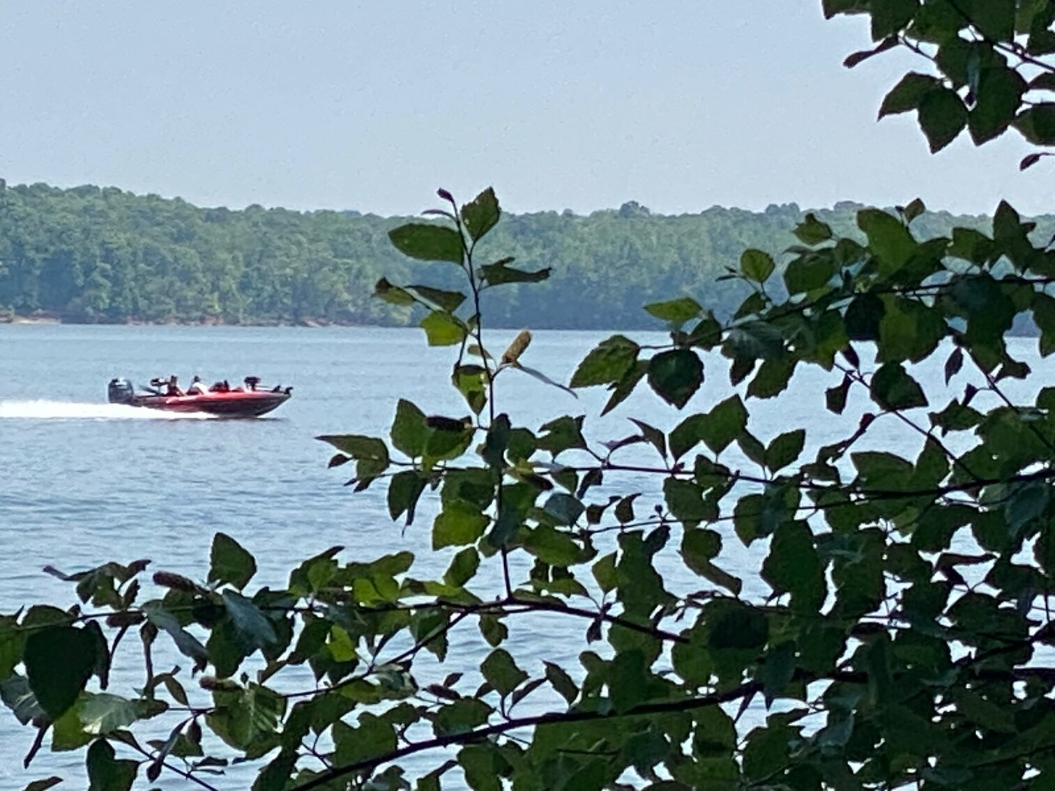 Image for ABSOLUTE ONLINE ONLY AUCTION • +/-1.55 ACRE WATERFRONT TRACT