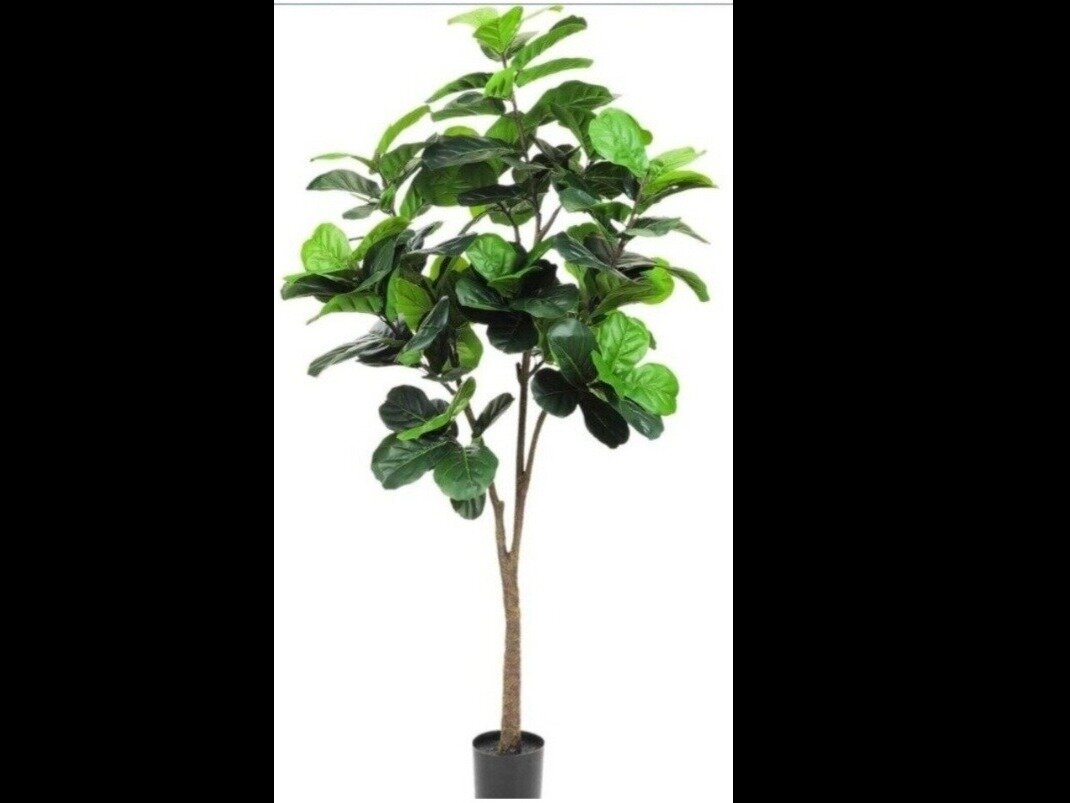 Image for May 11 Variety Auction