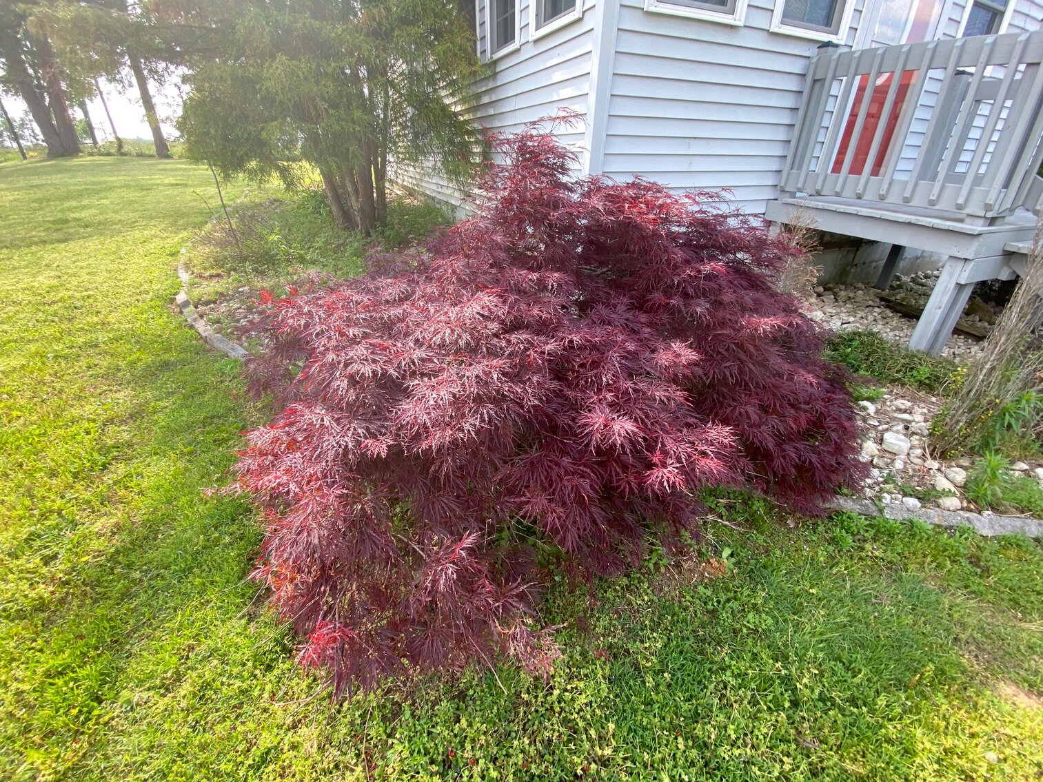 Image for ABSOLUTE ESTATE AUCTION - HAZEL, KY