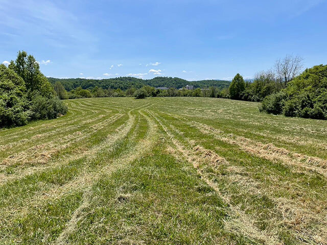 Image for SATURDAY, MAY 27th * 10 AM