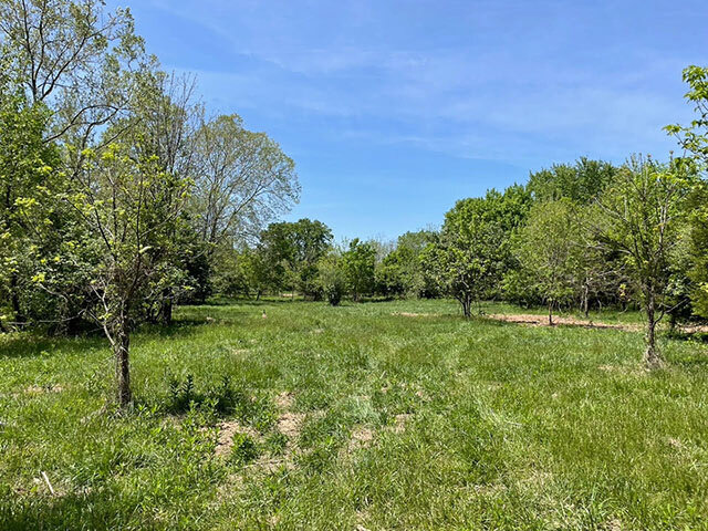 Image for SATURDAY, MAY 27th * 10 AM