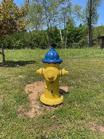 Image for SATURDAY, MAY 27th * 10 AM