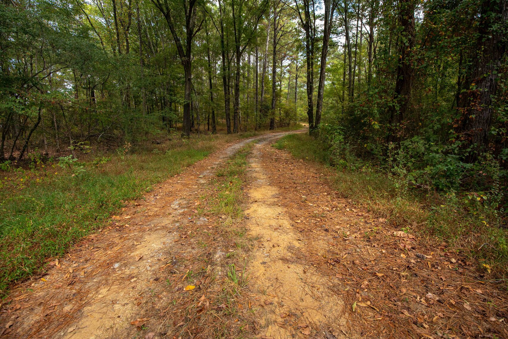 Image for 432 Acres of Recreational Land in Georgia...SOLD