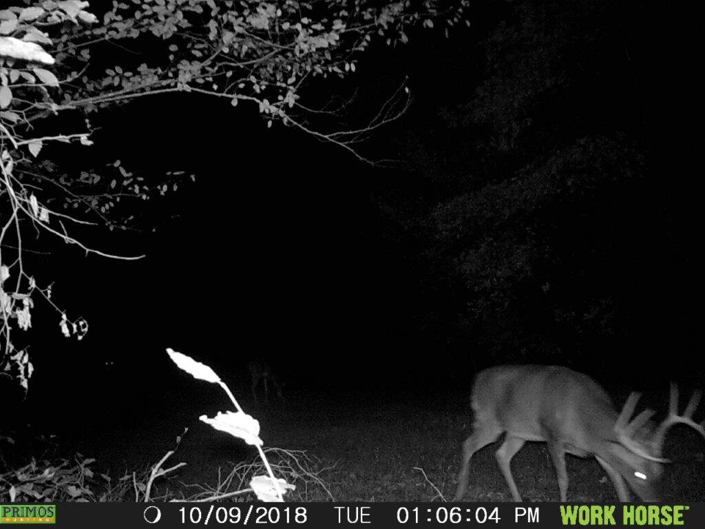 Image for 115 +/- AC・Eight Mile Lane・Greenville