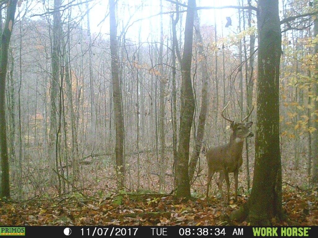 Image for 115 +/- AC・Eight Mile Lane・Greenville